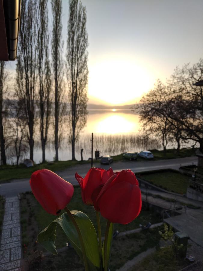 Ajkoski Apartments Peštani Esterno foto